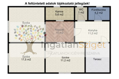 164417051_project_192_first_floor_first_design_20241028_6b1684