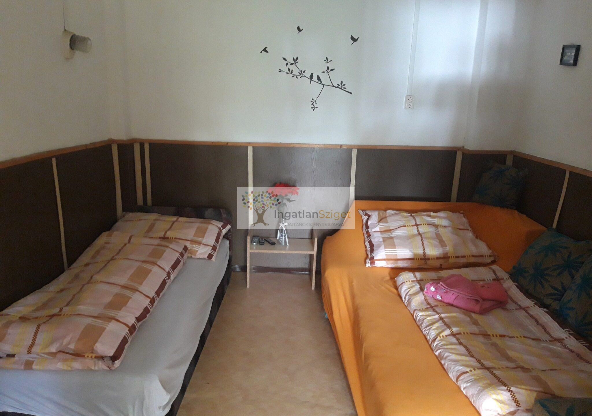 629333288_10225545508464865_9004080787717728804_n