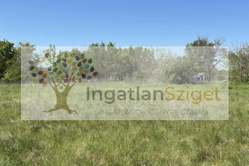 494357304_1732993173958834_893509465670197973_n