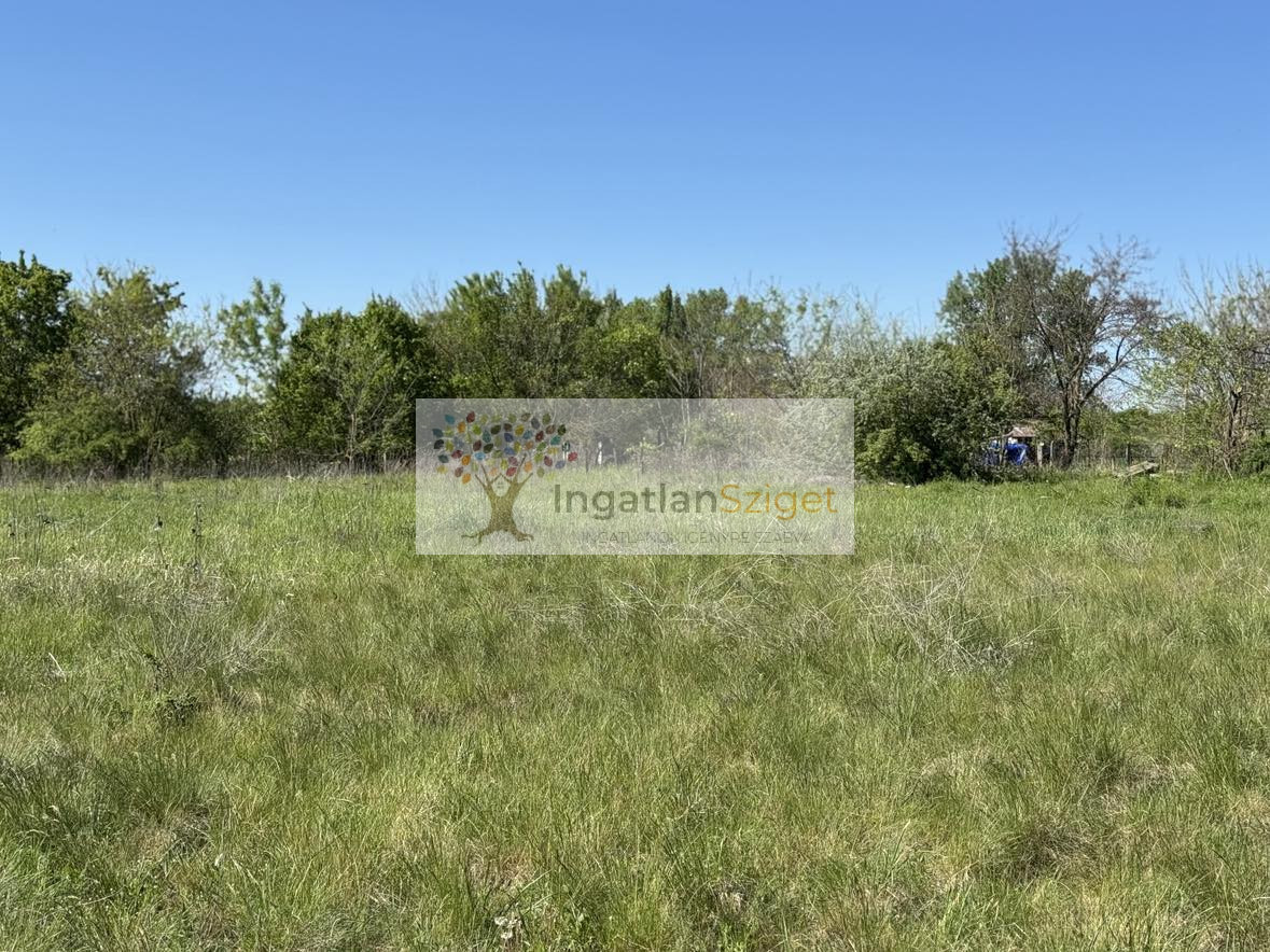 494357304_1732993173958834_893509465670197973_n