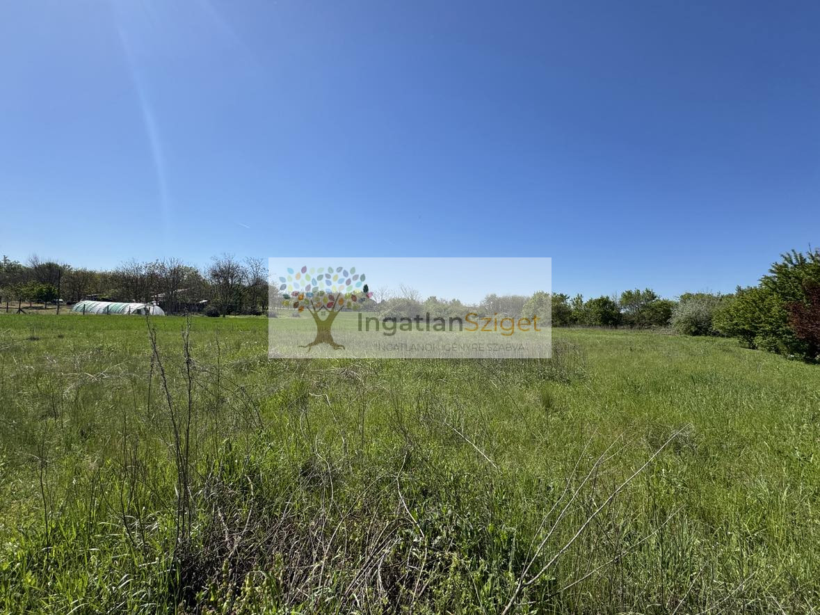 494358588_1478827270198825_2520386212989580961_n