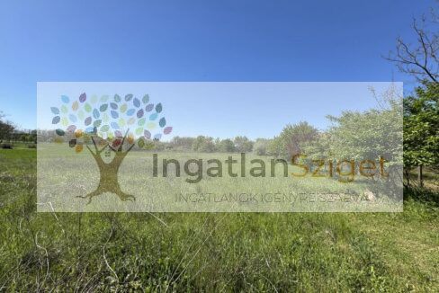 494359464_714433421163816_4411296320499288799_n