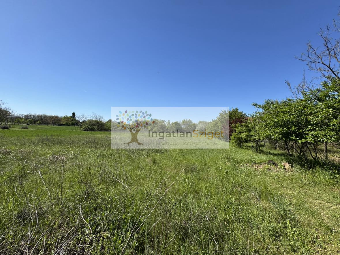 494359464_714433421163816_4411296320499288799_n