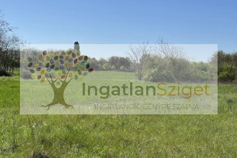 494362458_4501927973366840_986331369328278939_n