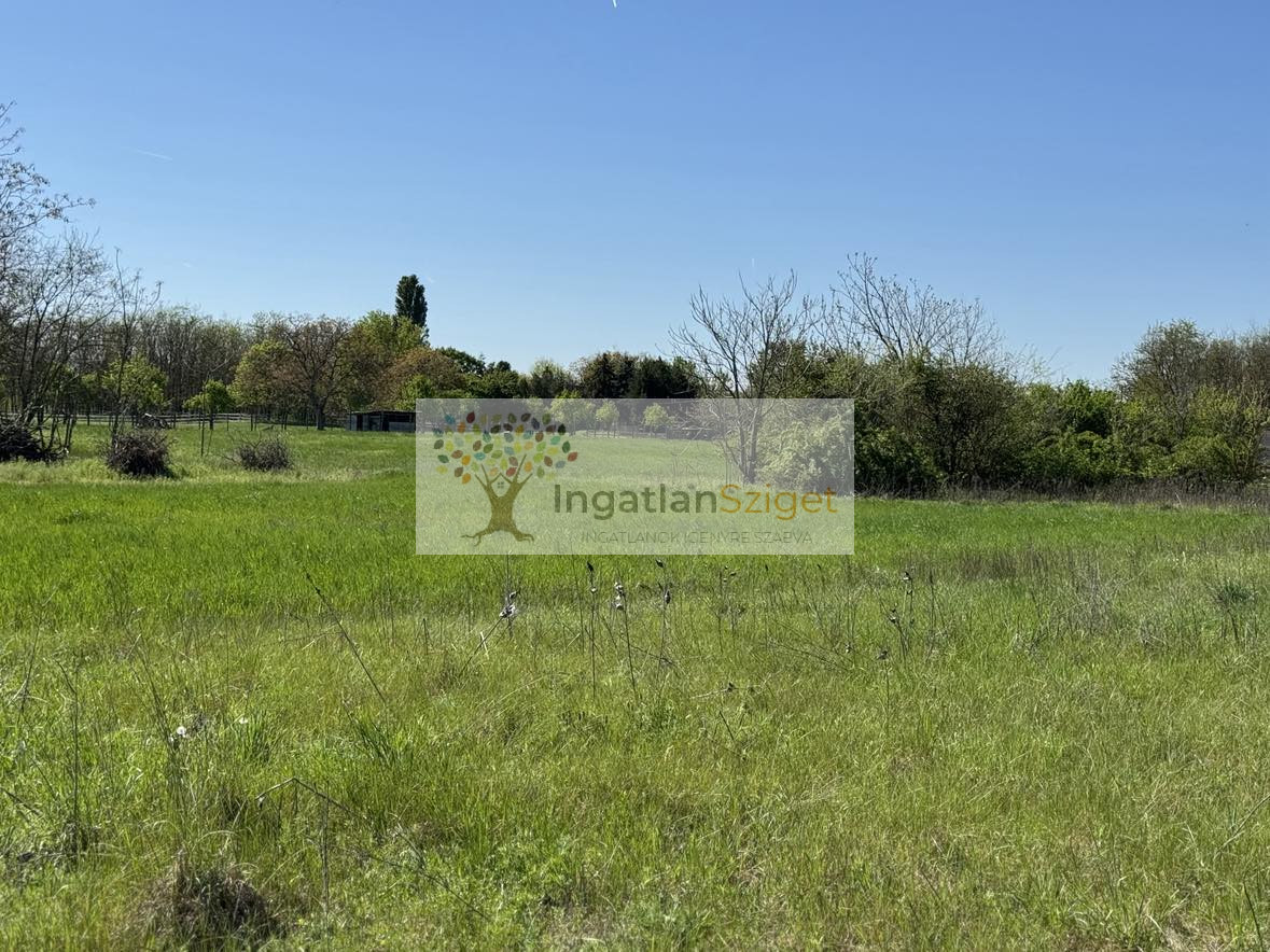 494362458_4501927973366840_986331369328278939_n