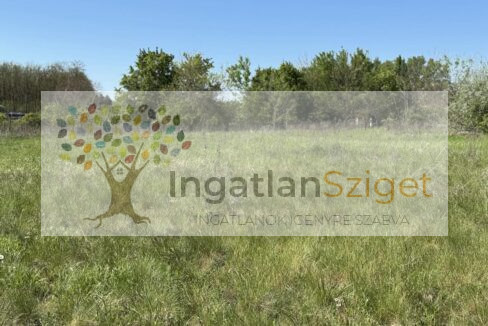 494365035_1263233935371077_1169039224834547129_n