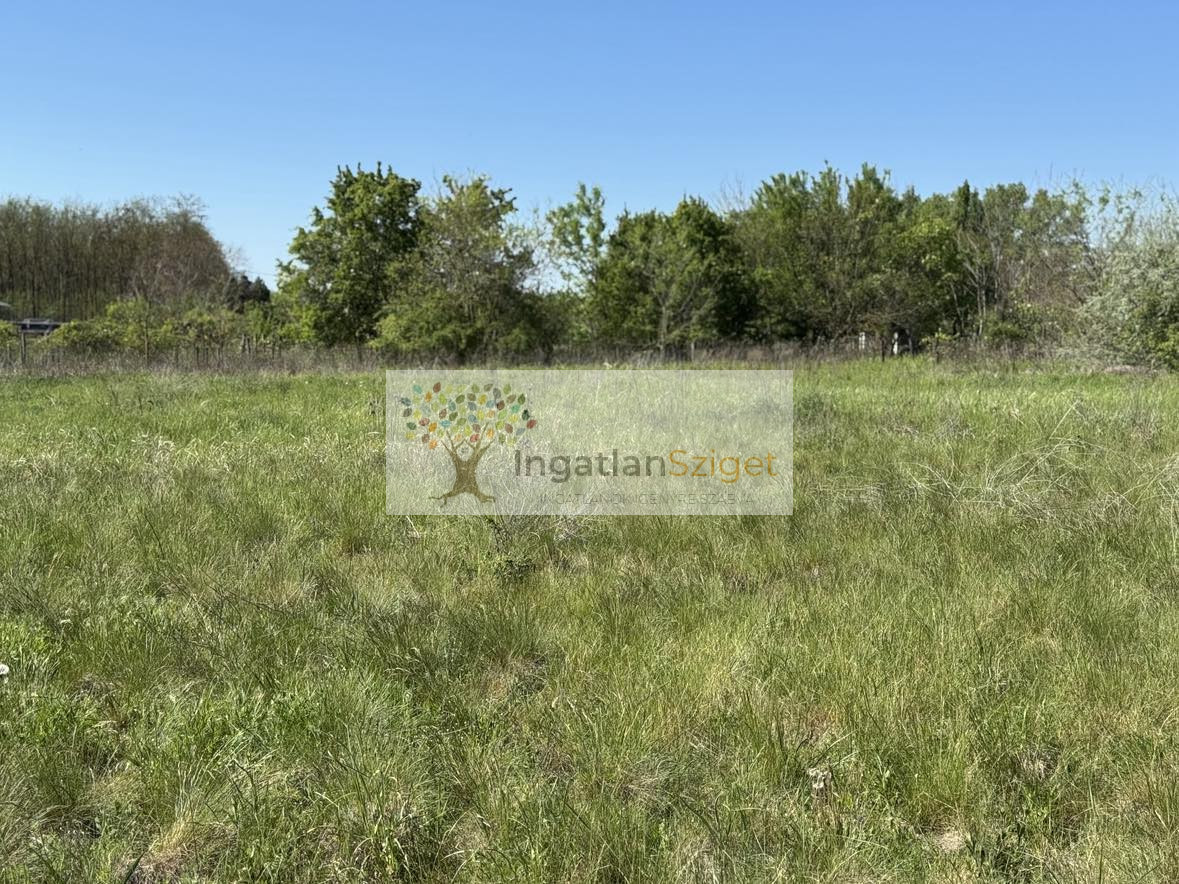 494365035_1263233935371077_1169039224834547129_n