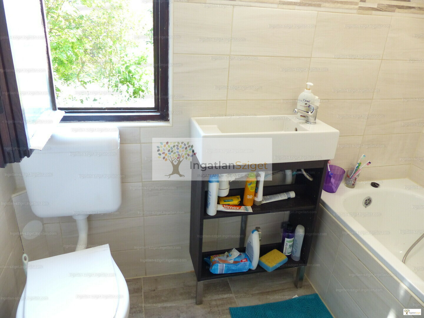 34296670_232653712_hd