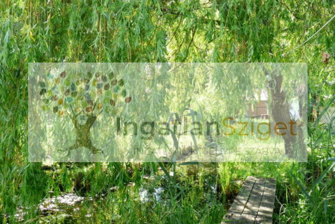 34296670_232653716_hd