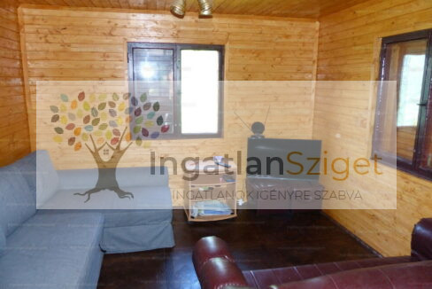 34296670_232653717_hd