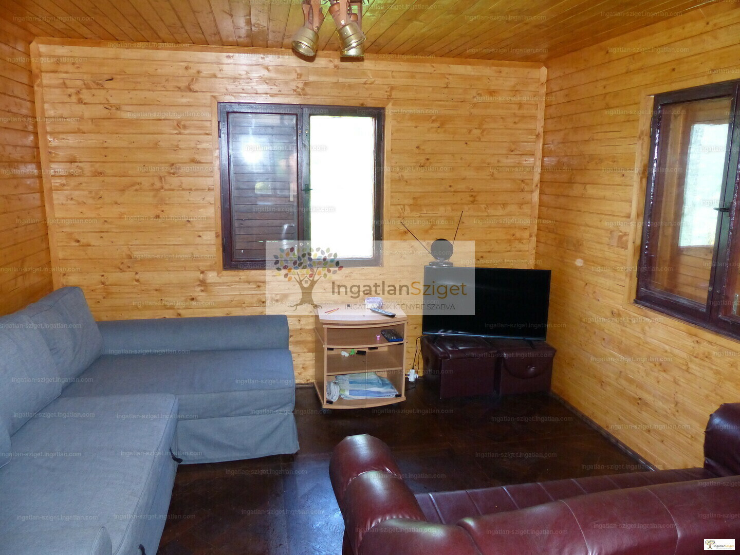 34296670_232653717_hd