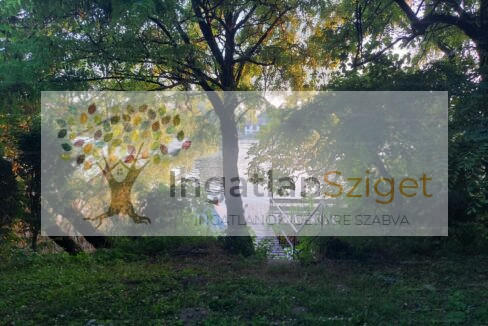 33644000_225045350_hd