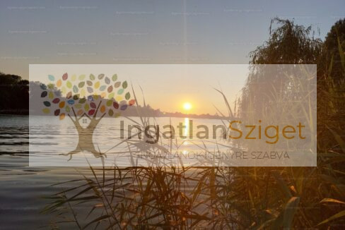 33644000_225045352_hd