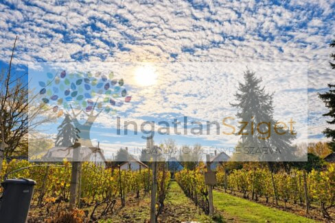 wide_high_resolution_outdoor_landscape_photo_of_a