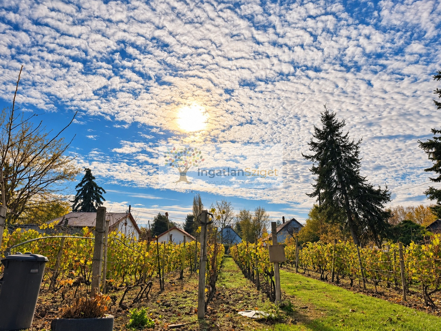 wide_high_resolution_outdoor_landscape_photo_of_a